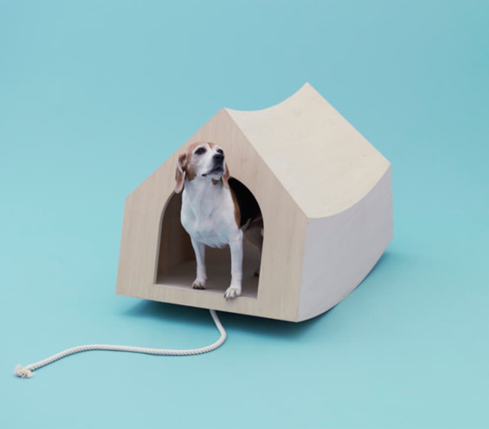 Beagle House